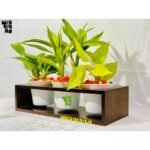 Tree Slelf Box plant shelf Height 04 Inch Width 14 Inch Depth 5 Model TS2001